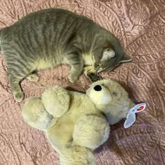 Фото отзыва 10613337