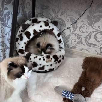 Домик Barbaks Му-му-му 43*39*42см: отзыв пользователя. Зоомагазин Зоозавр