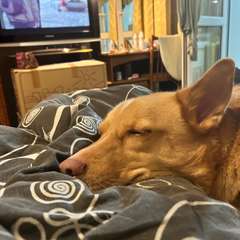 Фото отзыва 11069662