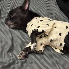 Фото отзыва 10733737