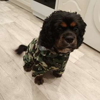 Дождевик-комбинезон Zoozavr хаки 50: отзыв пользователя. Зоомагазин Зоозавр