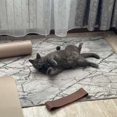 Фото отзыва 10444037