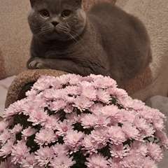 Фото отзыва 10581778