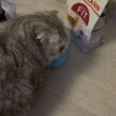 Фото отзыва 10529796