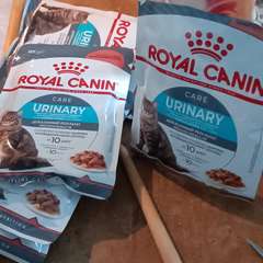 Фото отзыва 10151706