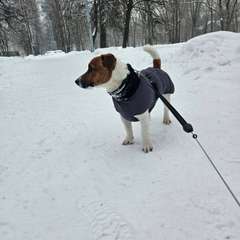 Фото отзыва 10869328