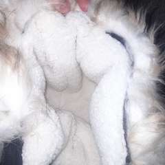 Фото отзыва 11103926