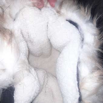 Пальто Acoola: отзыв пользователя Детский Мир