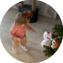 Видео отзыва 10839420