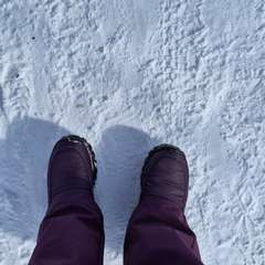 Фото отзыва 11118035