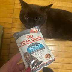 Фото отзыва 10877663