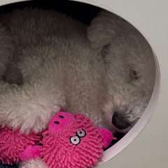 Фото отзыва 10923797