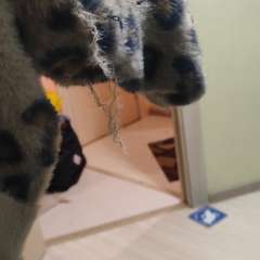 Фото отзыва 10647540