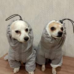 Фото отзыва 10613663