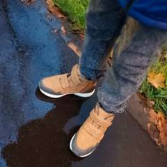 Фото отзыва 10536897