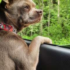 Фото отзыва 9364276