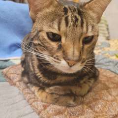 Фото отзыва 10796496