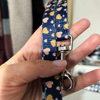 Поводок для собак Barbaks сердечки S 1.5*183см полиэстер: отзыв пользователя. Зоомагазин Зоозавр