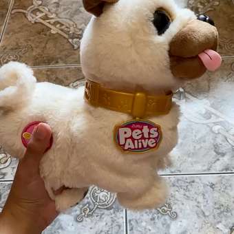 Игрушка мягкая Zuru Pets Alive собачка Мопс: отзыв пользователя Детский Мир
