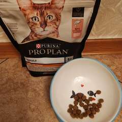 Фото отзыва 10710173