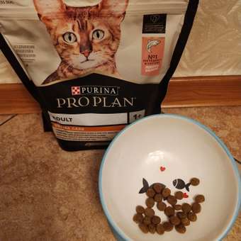 Корм сухой для кошек PRO PLAN 400г с лососем с чувствительной кожей: отзыв пользователя. Зоомагазин Зоозавр