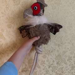 Фото отзыва 9729175