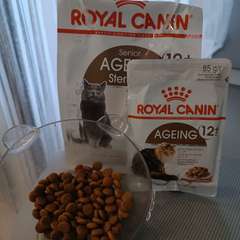 Фото отзыва 10714019