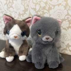 Фото отзыва 11164193