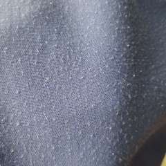 Фото отзыва 10791968