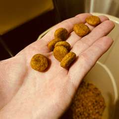 Фото отзыва 10566475