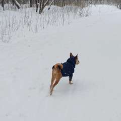 Видео отзыва 10918072