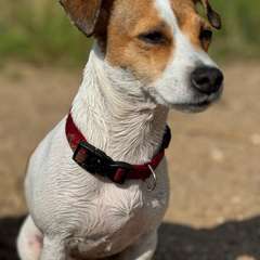 Фото отзыва 10750892