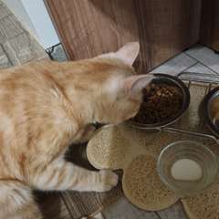 Фото отзыва 10664101