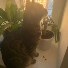 Фото отзыва 10969976