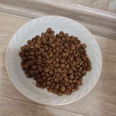 Фото отзыва 11258011