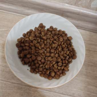 Корм для кошек Roybis 4кг с лососем и форелью полнорационный с чувствительным пищеварением: отзыв пользователя. Зоомагазин Зоозавр