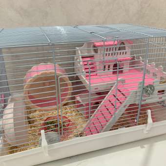 Клетка для животных Не один дома pink house: отзыв пользователя. Зоомагазин Зоозавр