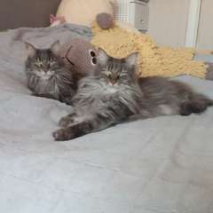 Фото отзыва 10534752