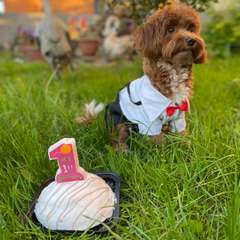 Фото отзыва 10519001