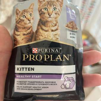 Корм влажный для котят PRO PLAN HEALTHY START 85г х 10шт. с говядиной, индейкой и курицей: отзыв пользователя. Зоомагазин Зоозавр