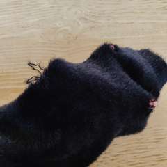 Фото отзыва 11120585