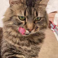 Фото отзыва 10754355