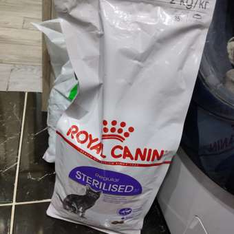 Корм сухой ROYAL CANIN Sterilised 37 400г для стерилизованных кошек: отзыв пользователя. Зоомагазин Зоозавр