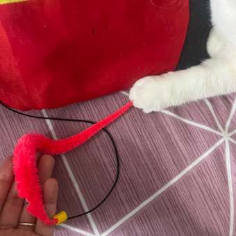 Дразнилка для кошек Barbaks Червяк на резинке: отзыв пользователя. Зоомагазин Зоозавр