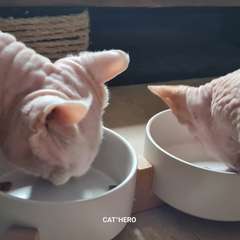 Фото отзыва 10458232