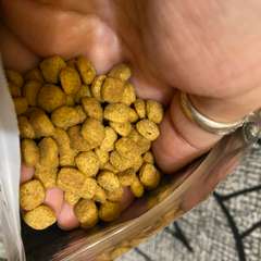 Фото отзыва 10347151