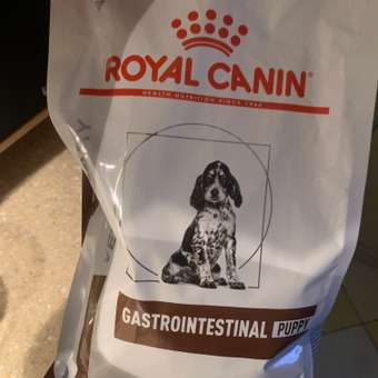 Корм для щенков ROYAL CANIN Gastro Intestinal Junior GIJ29 при нарушениях пищеварения 1кг: отзыв пользователя. Зоомагазин Зоозавр
