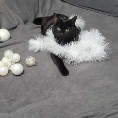 Фото отзыва 10803767