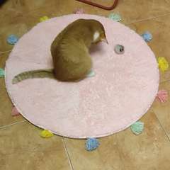 Фото отзыва 8697188