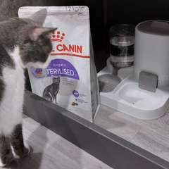 Фото отзыва 10986075